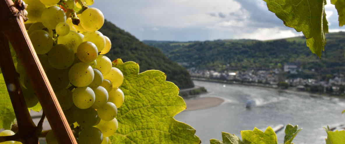 Blick auf Oberwesel im Rheintal - die mittelalterliche Perle des Rheintals ist einfach von der Rhein Pension zu erreichen